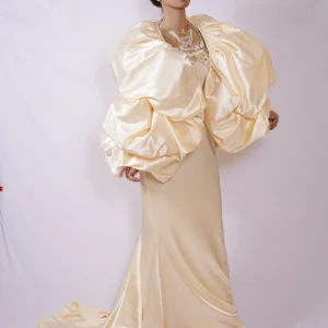 White Embelished dress with cape