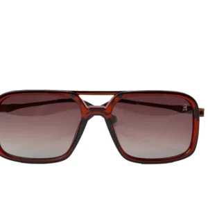 Brown Wayfarer Sunglasses